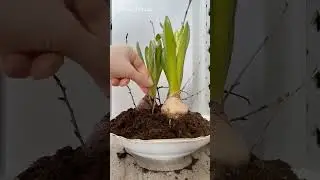 #декордлядома