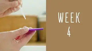 4 Weeks Pregnant - Pregnancy Week by Week
