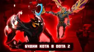 Будни кота в DOTA 2|1 Часть