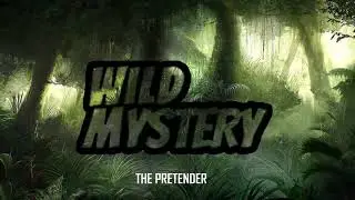 Wild Mystery - The pretender
