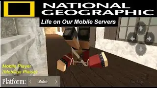 Mobile server documentary 