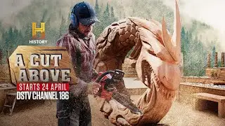 Chainsaw carving competition series - A Cut Above