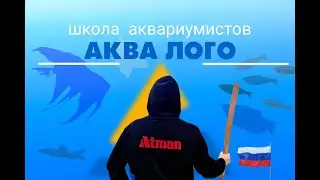 Школа Аква Лого.