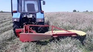 Сенокос 2020 косилка LISICKI и большая масса