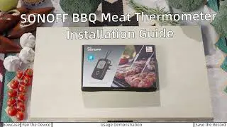 SONOFF BMT01 BBQ Meat Thermometer Tutorial: Master Smart Grilling Techniques