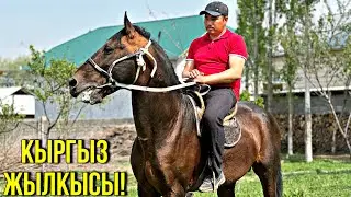 ЗОР АТ ЧЫКТЫ ЧАМДАҢЫЗДАР 