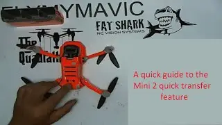 A quick guide to Mini 2 quick transfer button