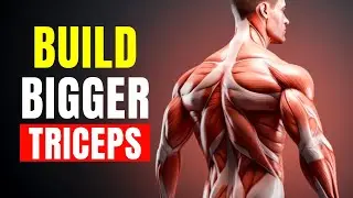 The ONLY 3 Triceps Exercises You Need For Mass!