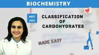 The BEST Way to Classify Carbohydrates for Maximum Results