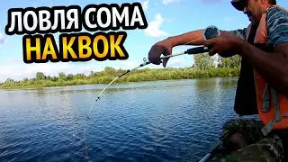 ВЫХОД СОМА ПОДЪЁМ ЗА ПОДЪЁМОМ!!! РЫБАЛКА НА СОМА С КВОКОМ!