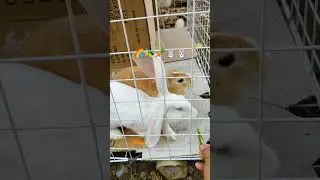 #cutebaby