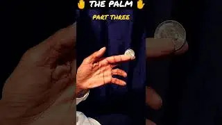 🔥 Coin Magic Basics 🔥 T Nelson Downs 🙀 The Palm 🙀 Part 3 #magictrickshorts #viral  #magician