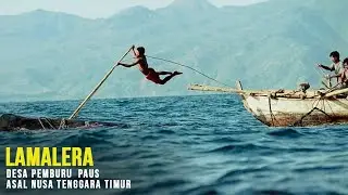 Lamalera: Desa Pemburu Paus Untuk Makan Sehari-hari