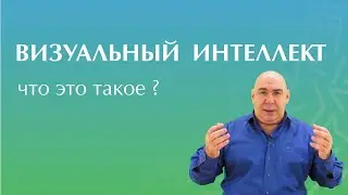 О проекте Визуальный Интеллект. Евгений Слогодский