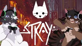 I speedrun Stray with @Vampviz