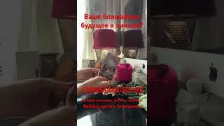 Ваше ближайшее будущее в личной сфере? Расклад таро shorts #онлайнрасклад #гаданиеналюбовь