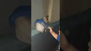 звон колоколов 😂👍
