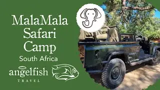 MalaMala Safari Camp | Rustic Charm In Stunning Surroundings