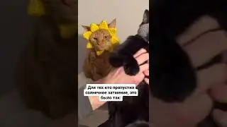 Видео не моё