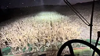 COLHENDO DE NOITE COM A S760💚💪🏼🌽!!! EP 342