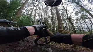 Hamsterley Forest MTB with Oscar