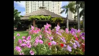 Chụp ảnh so sánh Camera Bphone & iphone 6 Plus