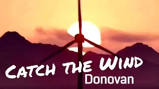 Catch the Wind by Donovan | Ukulele Cover