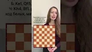 Шахматная задача вслепую 