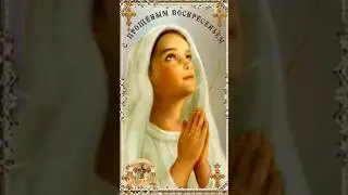 Сынок,  с Прощеным Воскресеньем.  17 марта.