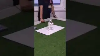 Робот Альфа
