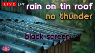 🔴 [LIVE 24/7] Steady Rain on Tin Roof - No Thunder | Rain Sounds for Sleeping [Black Screen]