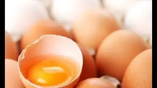 Wat is gezonder: het eiwit of het eigeel?