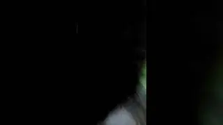 Фогация. Дезинсекция. Дератизация.