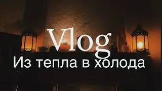 Vlog: досуг, простуда, Черри и коты #leonawithcoffee