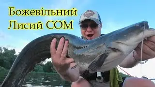 Ловля СОМА на КВОК  моя СНАСТЬ и МОНТАЖ