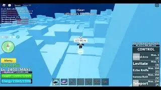 Zioles vs Control user (Phoeyu's Dimension) -Blox Fruits PvP