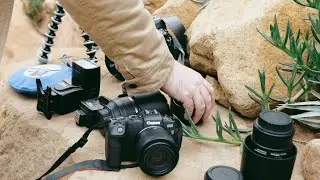 Makrofotografie detailně | CEWE FOTOLAB fotorádce s Michaelem Jurákem