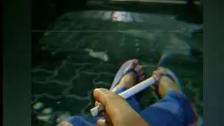 Story wa