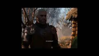The Witcher 3: Wild Hunt | Ивасик-дурасик пердел как карасик  