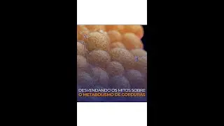 Desvendando os Mitos sobre o Metabolismo de Gorduras