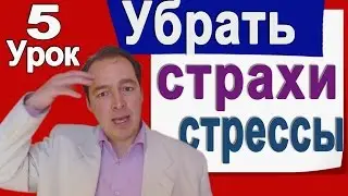 Освобождение от страхов, стрессов, переживаний. Деменьшин А.В. [Урок 5]