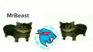 This is a MrBeast
