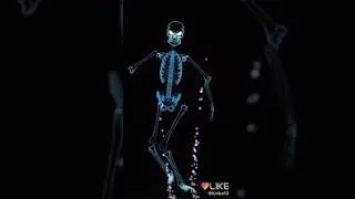 МАИ видео в Лайк(10)