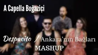 A Capella Boğaziçi - Despacito / Ankara'nın Bağları Mashup