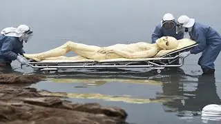 Scientists Finally found an Alien, What Happened Next Shocked Everyone