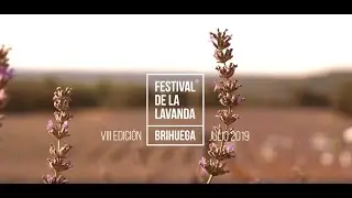 Festival de la Lavanda resumen edición2019 20''