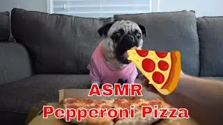 ASMR | Dog Eating 🍕Pepperoni PIZZA 🍕