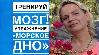 Лучшие упражнения для мозга 🚀« На дне морском» 🌟🌟🌟🌟🌟Нейрогимнастика — Обучение, СЕРТИФИКАЦИЯ