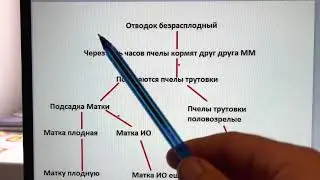 Механизм подсадки матки ио разными способами. И что происходит.