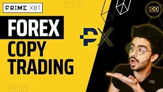 Forex Copy Trading | Bitcoin Trading Platform | Primexbt Exchange